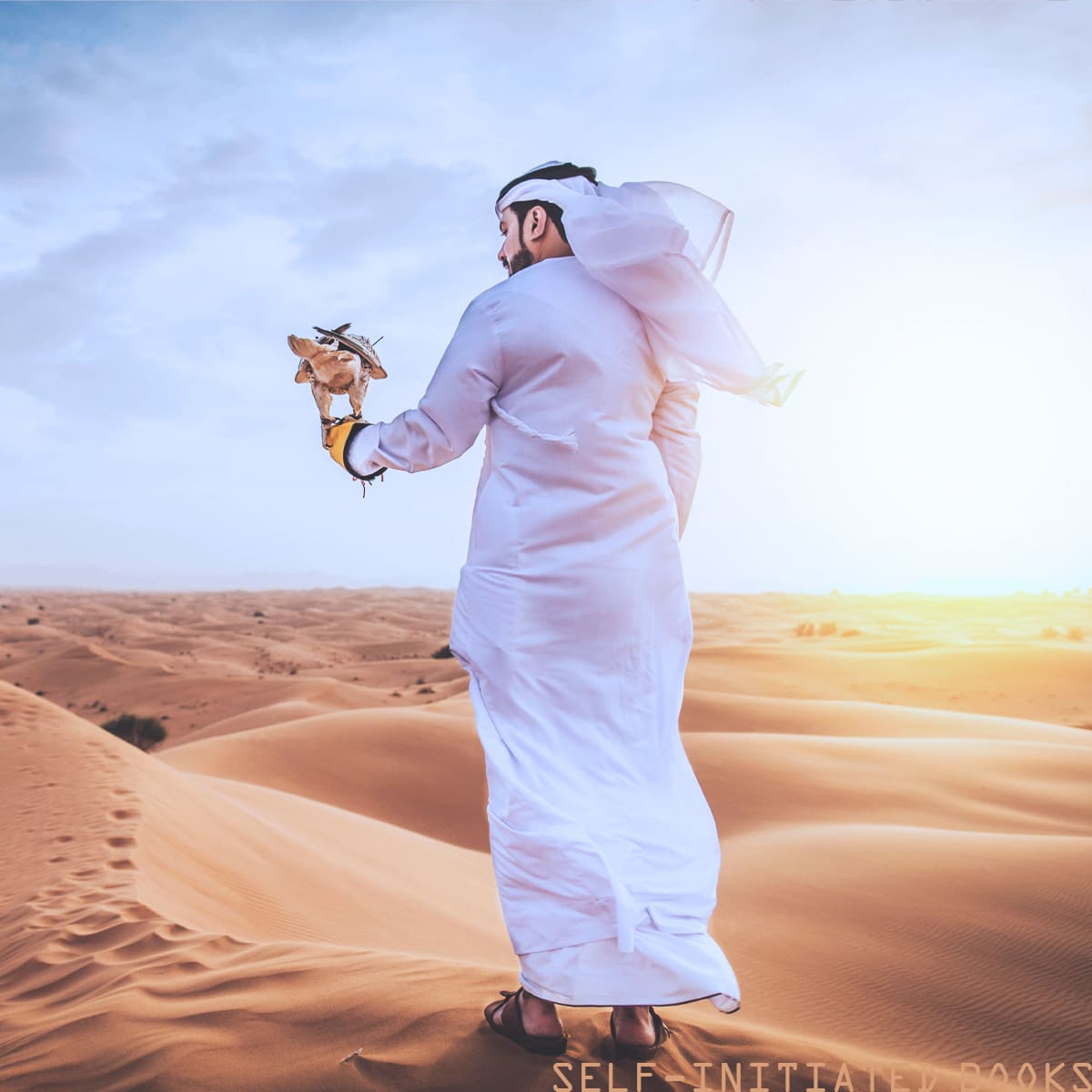 Arabian clothed man in the desert with a falcon.