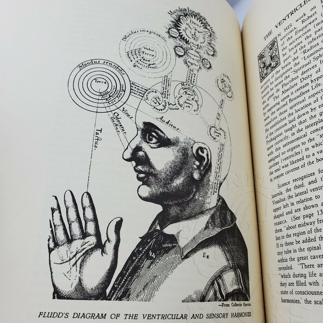 Man, Grand Symbol of the Mysteries by Manly P. Hall- Page 132