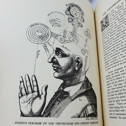 Man, Grand Symbol of the Mysteries by Manly P. Hall- Page 132